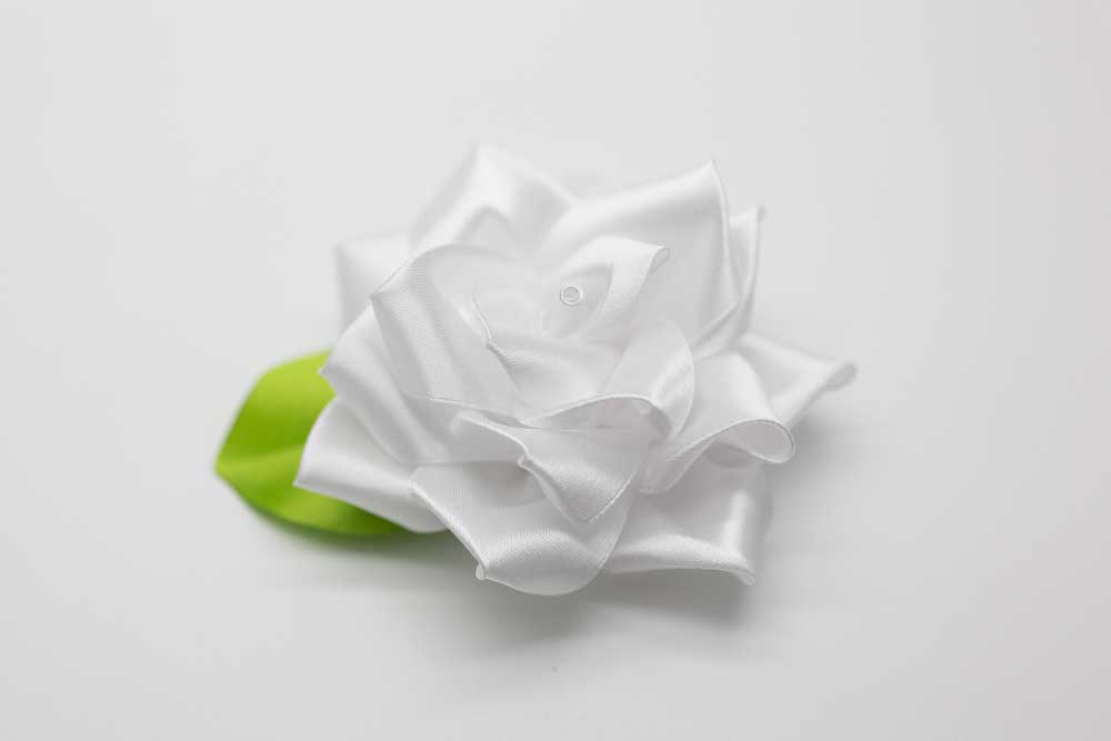 Rosa Bianca