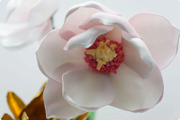 Magnolia-in-gomma crepla