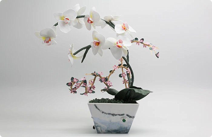 orchidea-living-indoor