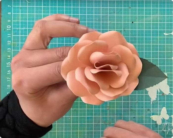 rose di carta