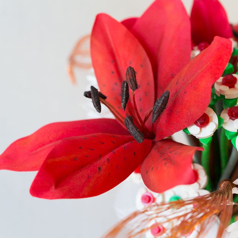 Fiori dicembre per il bouquet