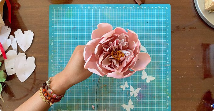 peony fommy