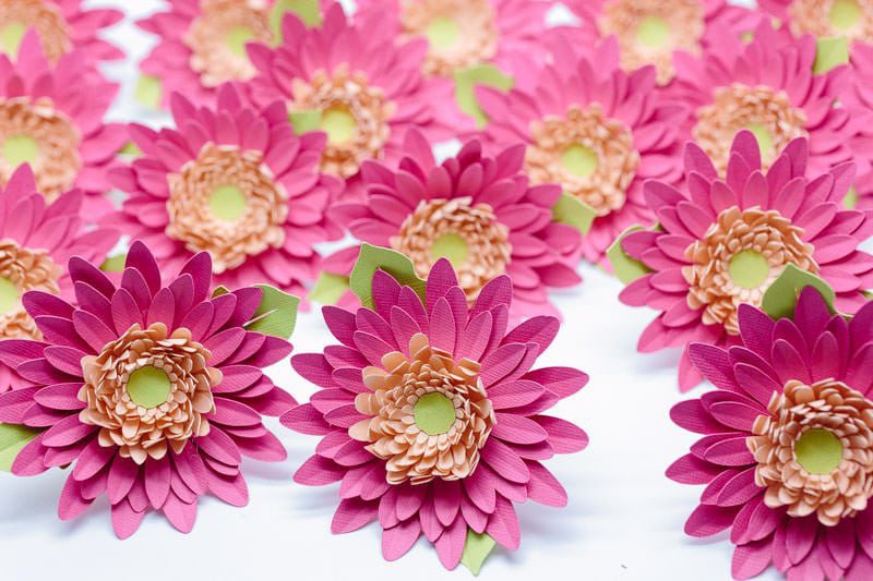 Bouquet Sposa Fiori Significato Alternativi