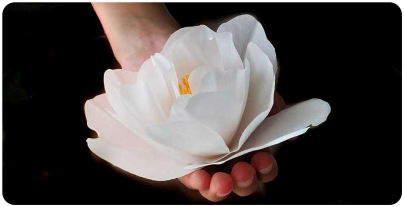 fiori-matrimoni-peonia-bianca