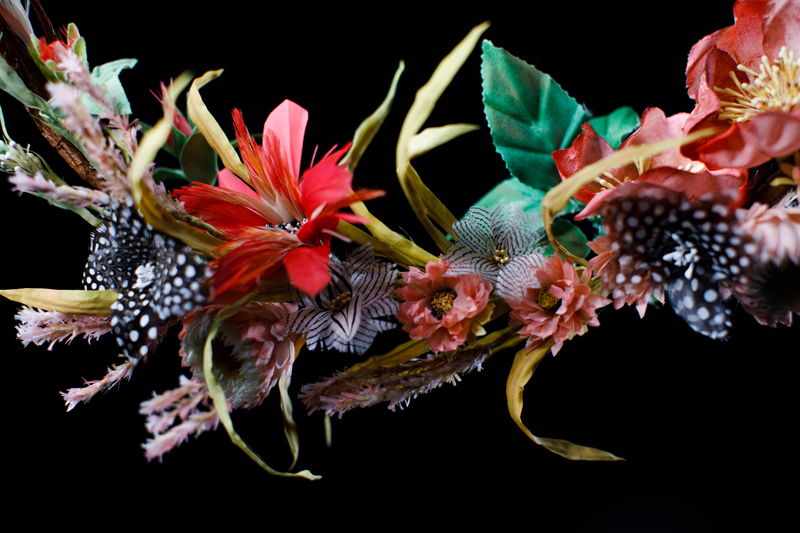fiori-di-piuma