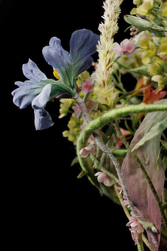iris in seta