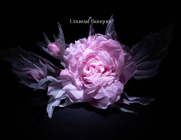 rosa-di-seta