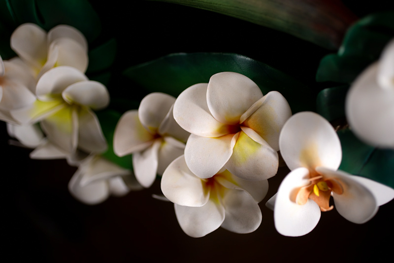 Bouquet hoop tropicale