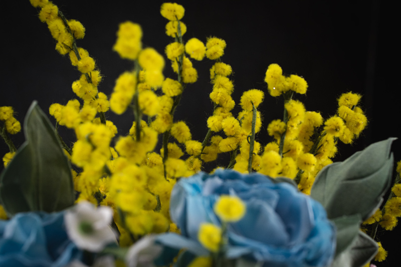 Bouquet di mimose e rose blu