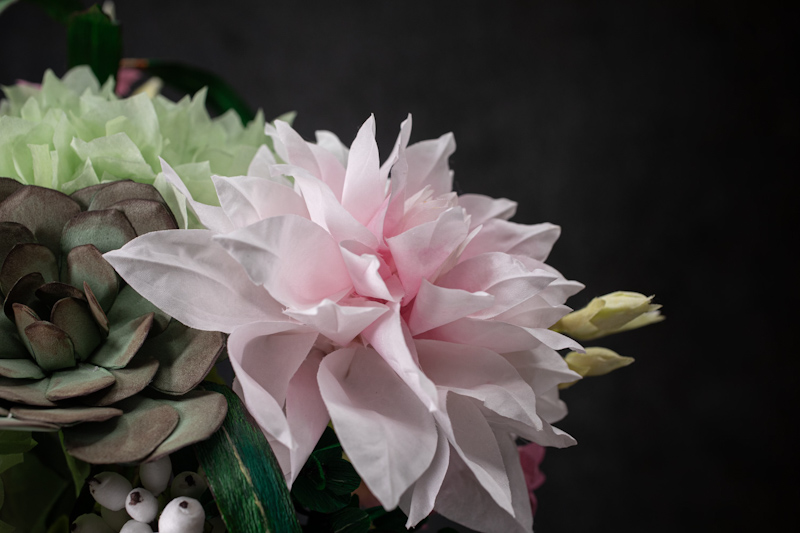 Bouquet piante grasse e dalie-05