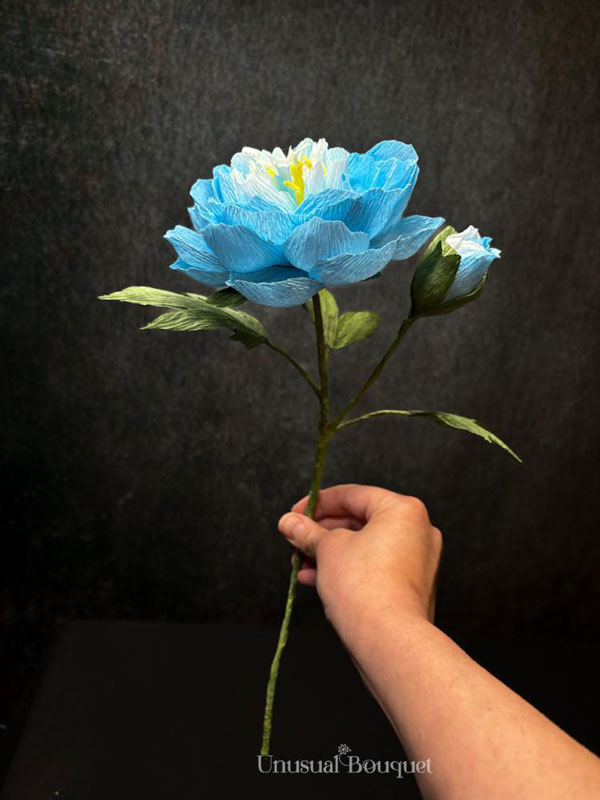 bouquet-con-un-solo-fiore