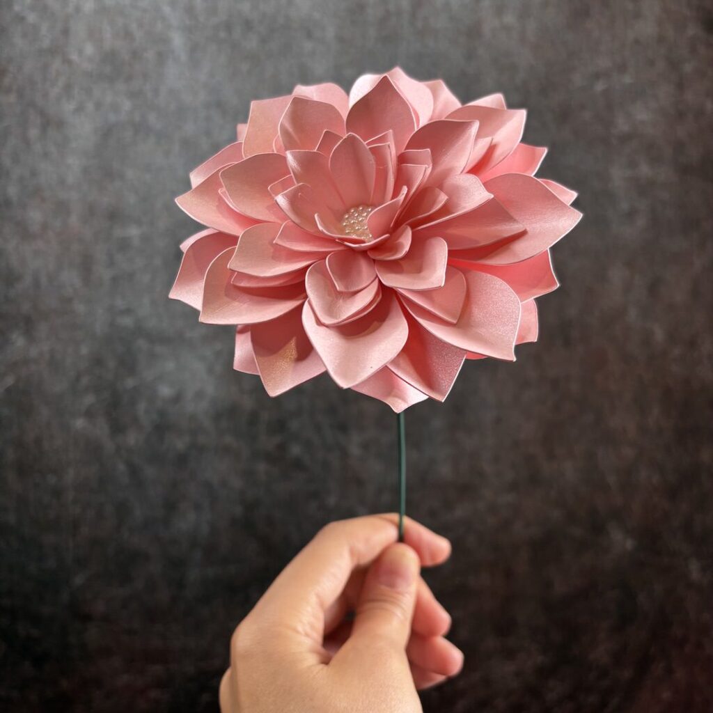 Fiori Carta Dalia