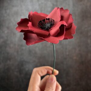 Fiori Carta Papavero