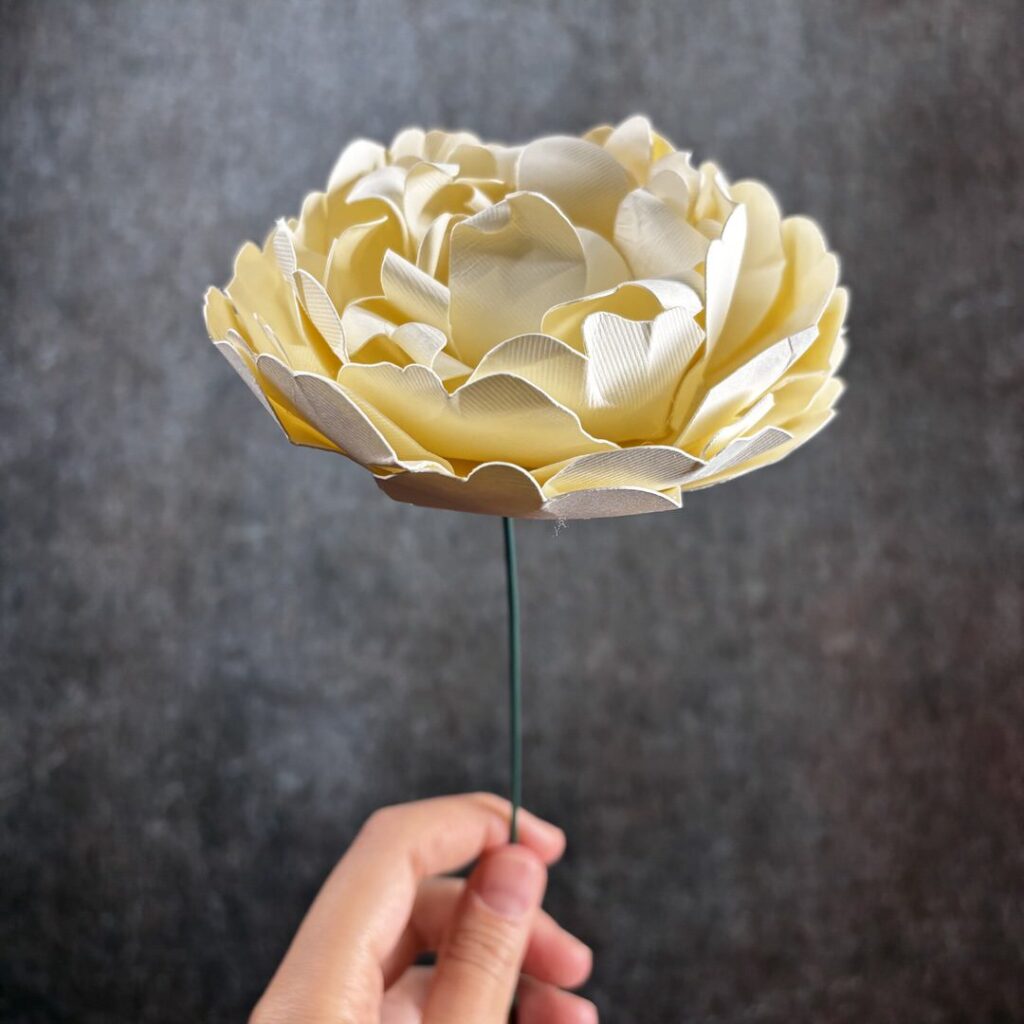Fiori Carta Peonia