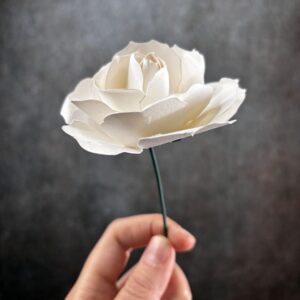 Fiori Carta Rosa Piccola