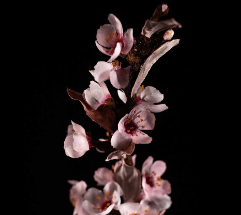 fiori-in-seta-di-cliegio_fiori-di-tessuto-spille