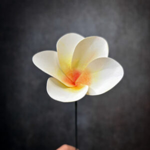 Fiori di carta frangipane plumeria-3
