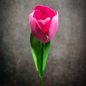 Tulipano-in-gomma-crepla realizzato a mano da Jessica Ciaffarini di Unusual Bouquet!