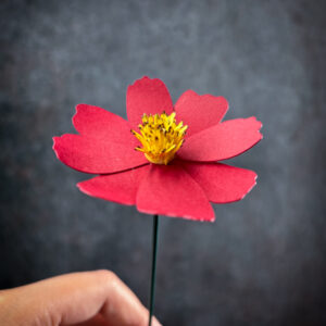 fiore di carta cosmos rosso-1