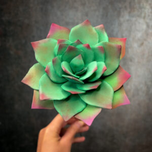 pianta grassa bouquet in gomma crepla realizzato a mano da Jessica Ciaffarini di Unusual Bouquet!